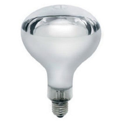 Picture of R125 375W Industrial Grade Hard Glass Infra Red Heat Lamp