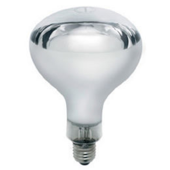 Picture of R125 375W Industrial Grade Hard Glass Infra Red Heat Lamp