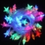 Picture of Multi Colour LED String Light Set with Star Cover (20 meters)