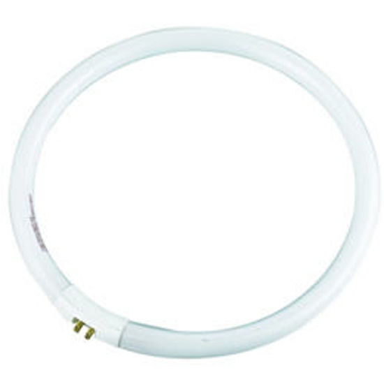 Picture of T5 Circular Fluorescent Lamps (10 Pack)