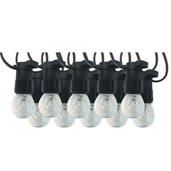 Picture of Incandescent Party Light 25W Clear Fancy Round Kit (10M or 20M)