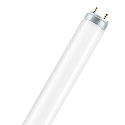 Picture of LEDVANCE LUMILUX T8 36W/6500K Fluorescent Lamp (Sold as 25)
