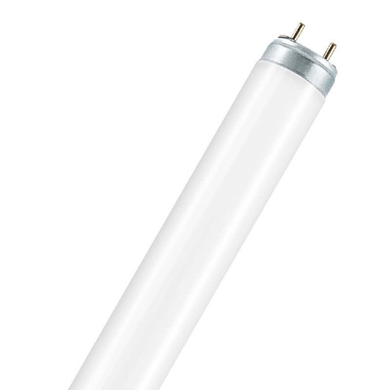 Picture of LEDVANCE LUMILUX T8 36W/6500K Fluorescent Lamp (Sold as 25)