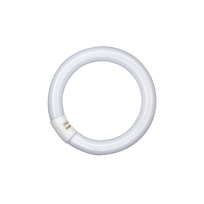 Picture of LEDVANCE Lumilux T9 22W 840 G10Q Circular Fluorescent Lamp (Sold as 12)