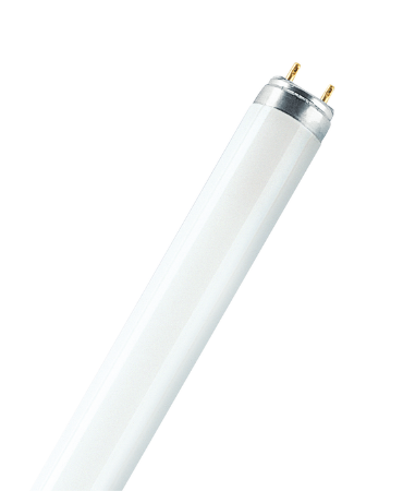 Picture for category T8 Straight Fluorescent Tubes