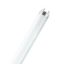 Picture of OSRAM NATURA T8 L 36 W/76 LEDVANCE (Sold as 10)