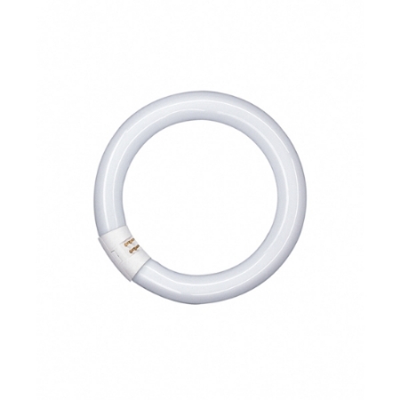 Picture for category T9 Circular Fluorescent Tubes